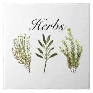 Vattenfärgade Örter Thyme Rosemary Sage Plants Pot Kakelplatta