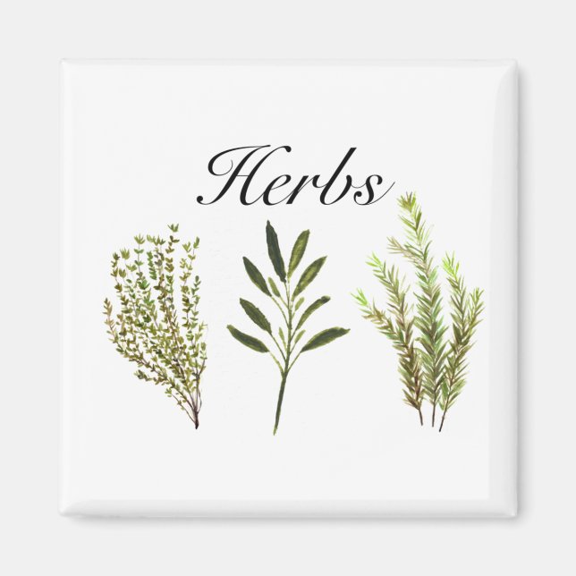 Vattenfärgade Örter Thyme Rosemary Sage Plants Pot Magnet (Framsidan)