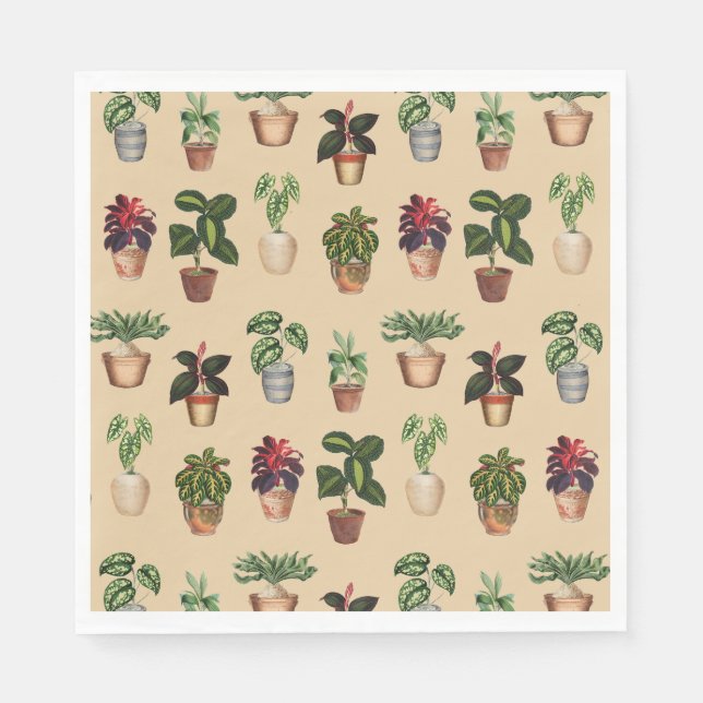 Vattenfärgade prickade växter Terracotta Pots Möns Pappersservett (Framsidan)