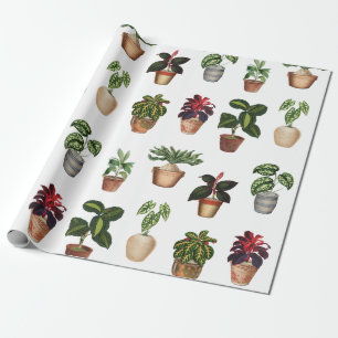 Vattenfärgade prickade växter Terracotta Pots Möns Presentpapper