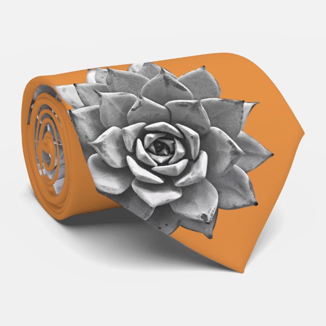 Vattenfärgade Suckulationer Grått på Orange Slips (Rullad)