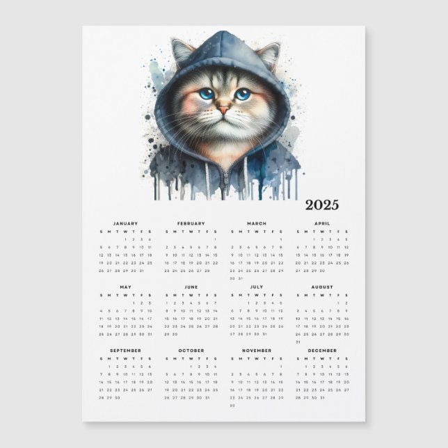 Vattenfärgat katt i Hoodie Stänk Art 2025-kalender (Framsida)