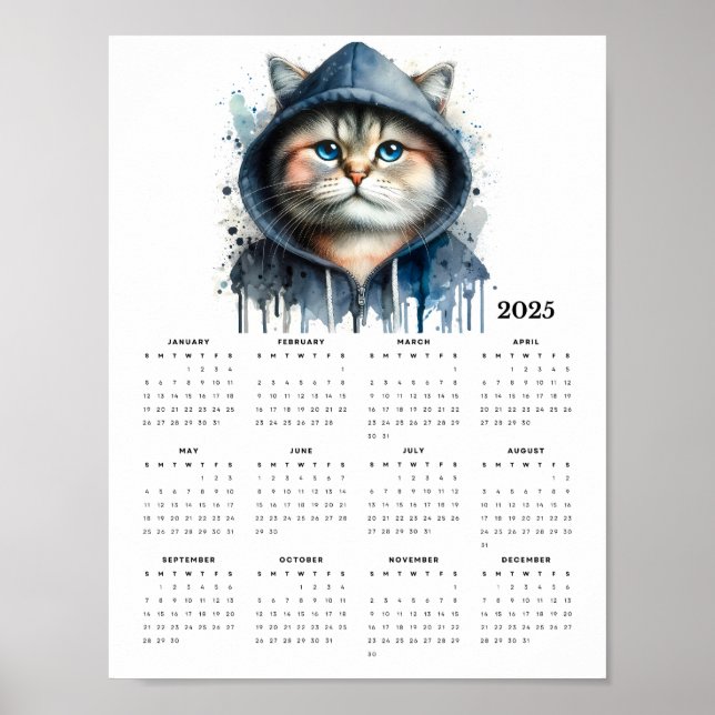 Vattenfärgat katt i Hoodie Stänk Art 2025-kalender Poster (Framsidan)