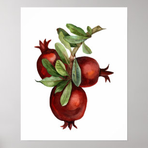 Vattenfärgat organiskt granatäpple poster