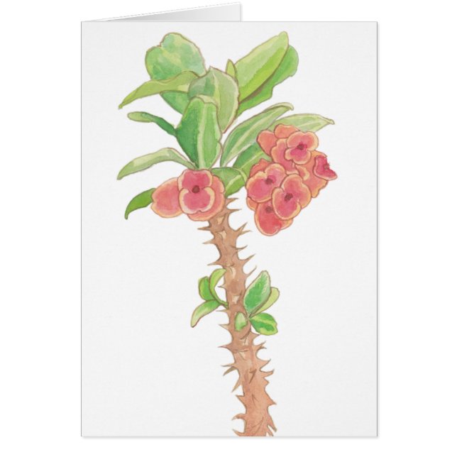 Vattenfärgblommakrona av taggväxten OBS kort (Framsidan)