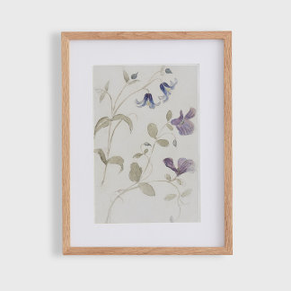 Vattenfärgblommor i vintage poster