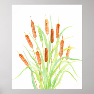 VattenfärgCattail (Typha), bulrush, kärnar ur Poster