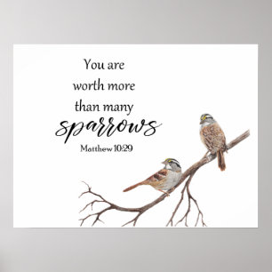 Vattenfärgen är värd mer än många Sparrows Skriv u Poster