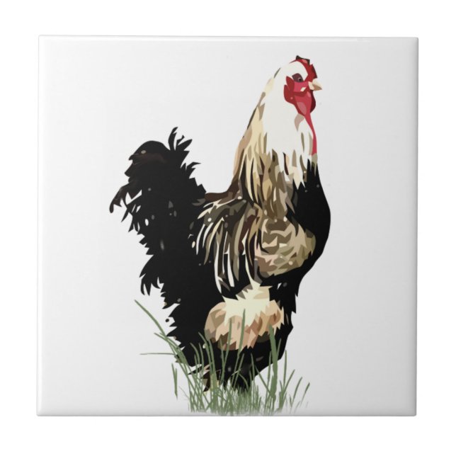 Vattenfärgen Black & White Tupp Bird Chicken Kakelplatta (Framsidan)