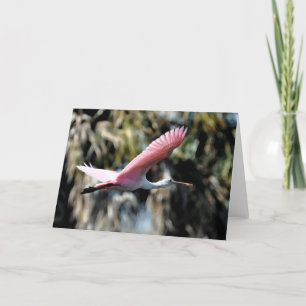 Vattenfärgen för Roseate Spoonbill tvättar Kort
