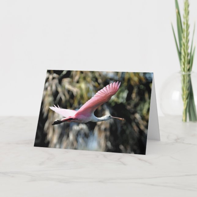 Vattenfärgen för Roseate Spoonbill tvättar Kort (Framsida)