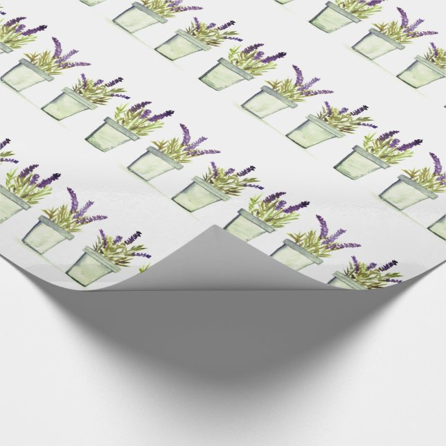 Vattenfärgen Lavender örter Elegant Lila blommor W Presentpapper (Hörn)