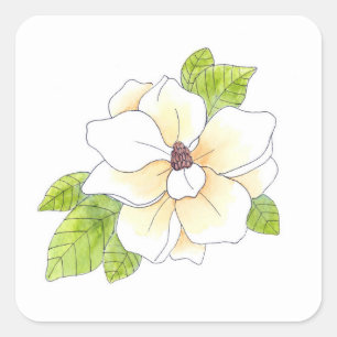 Vattenfärgen och skrivar Magnoliablomman Fyrkantigt Klistermärke