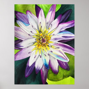 Vattenfärgen vatten lilies bra art poster