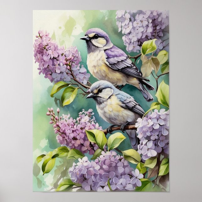 Vattenfärgfåglar med blommande Lilac Flowers Poster (Framsidan)