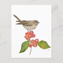 Vattenfärgfåglar "Sylvia curruca" Helg Vykort