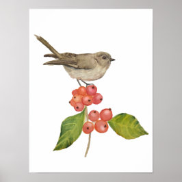 Vattenfärgfåglar "Sylvia curruca" Poster