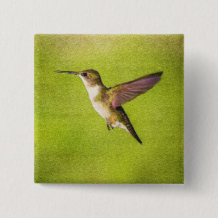 VattenfärgHummingbird Knapp