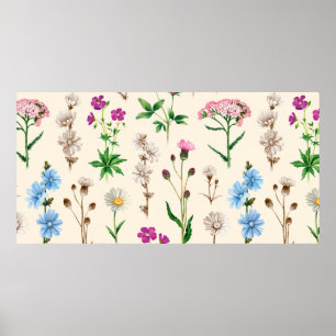 Vattenfärgillustrationer av vild blommor. Sömlös Poster