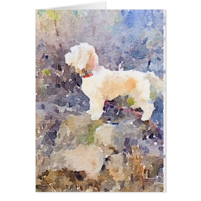 Vattenfärgkort, Hund OBS Kort (Framsidan)