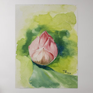 Vattenfärglotusblommaaffisch Poster