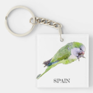 Vattenfärgmålning för grönt parrot