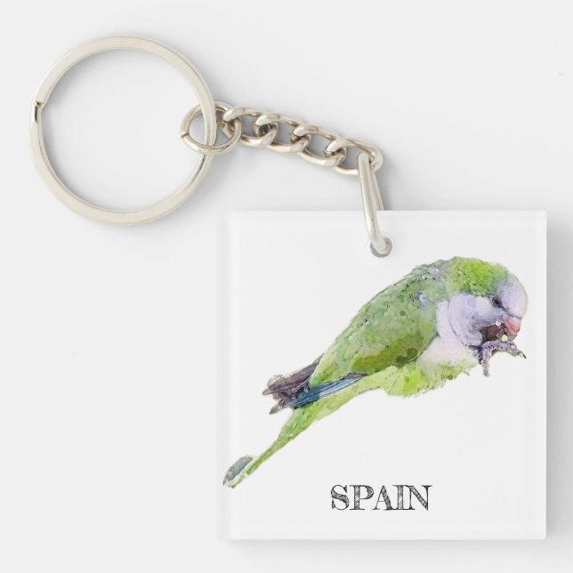 Vattenfärgmålning för grönt parrot (Framsidan)
