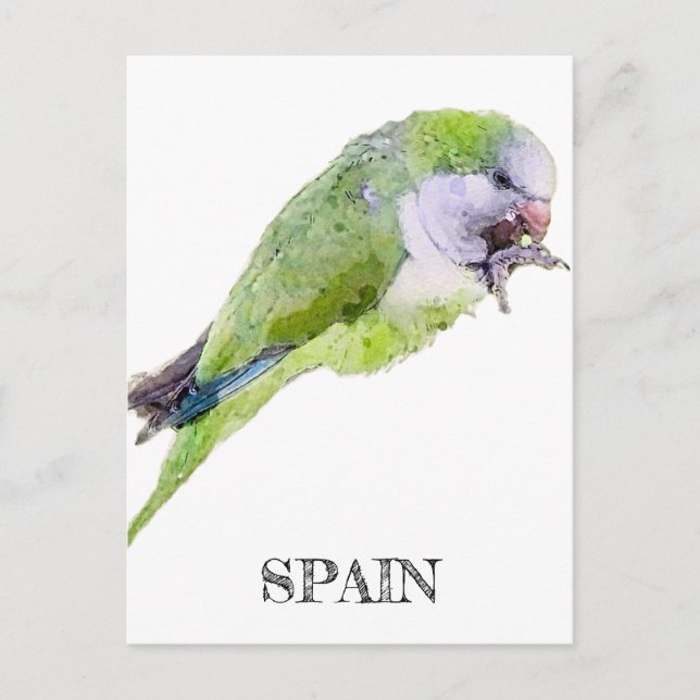 Vattenfärgmålning för grönt parrot vykort (Framsida)