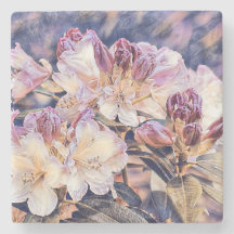 Vattenfärgning av en lila azeea-blommar