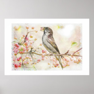 Vattenfärgning av Sparrow Eating Berries Poster