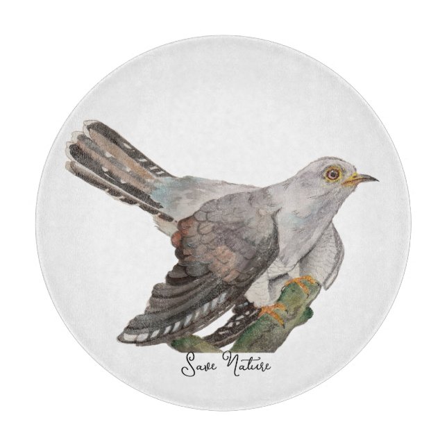 Vattenfärgning måla en kuckoo (Framsidan)