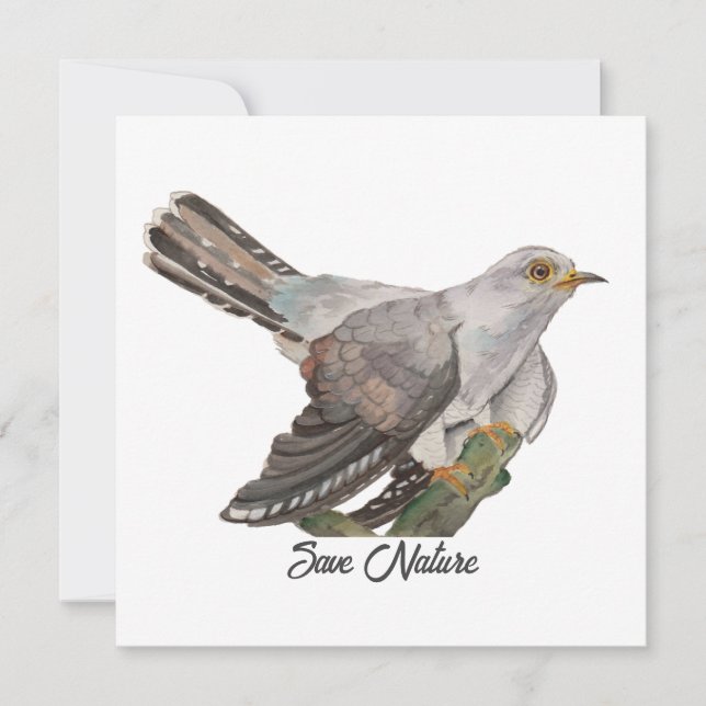 Vattenfärgning måla en kuckoo (Framsida)