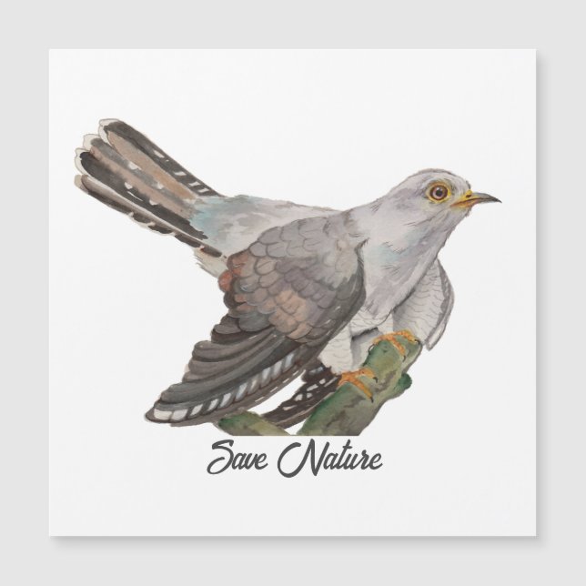 Vattenfärgning måla en kuckoo (Framsida)