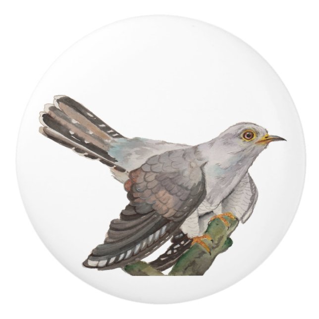 Vattenfärgning måla en kuckoo knopp (Framsidan)