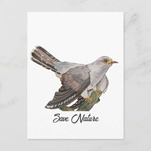 Vattenfärgning måla en kuckoo vykort (Framsida)