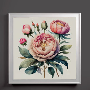 Vattenfärgning Målning av Rosa Peonies Poster