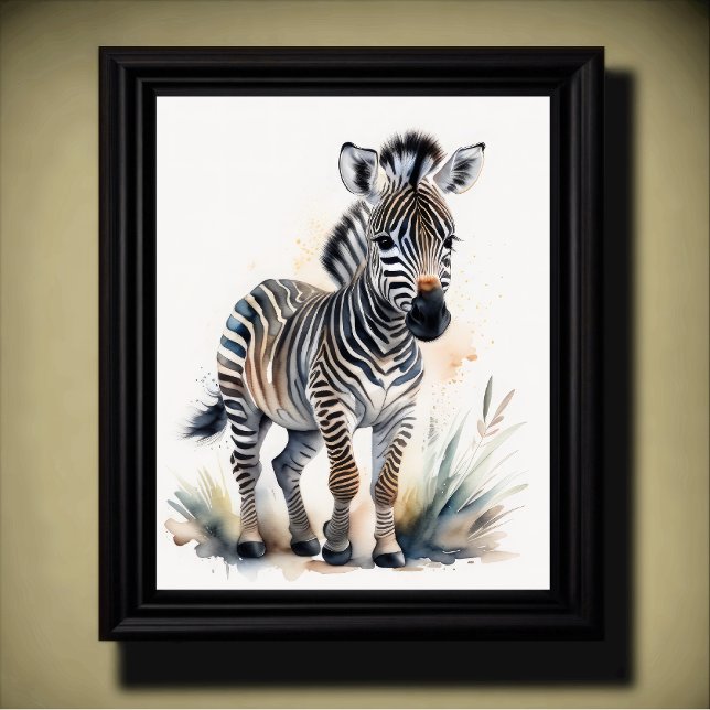 Vattenfärgning vid Baby Zebra 5:4 Poster (Skapare uppladdad)