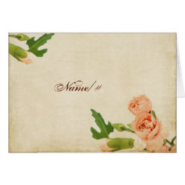 Vattenfärgpersikanejlikan tränga någon OBS kort