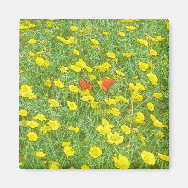 Vattenfärgpoppor Magnet (Framsidan)