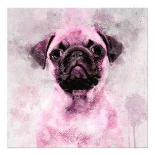 Vattenfärgporträtt 02 av rosa Pug hund Fototryck