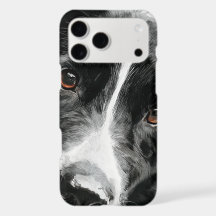 Vattenfärgporträtt av border collie