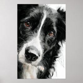 Vattenfärgporträtt av border collie poster