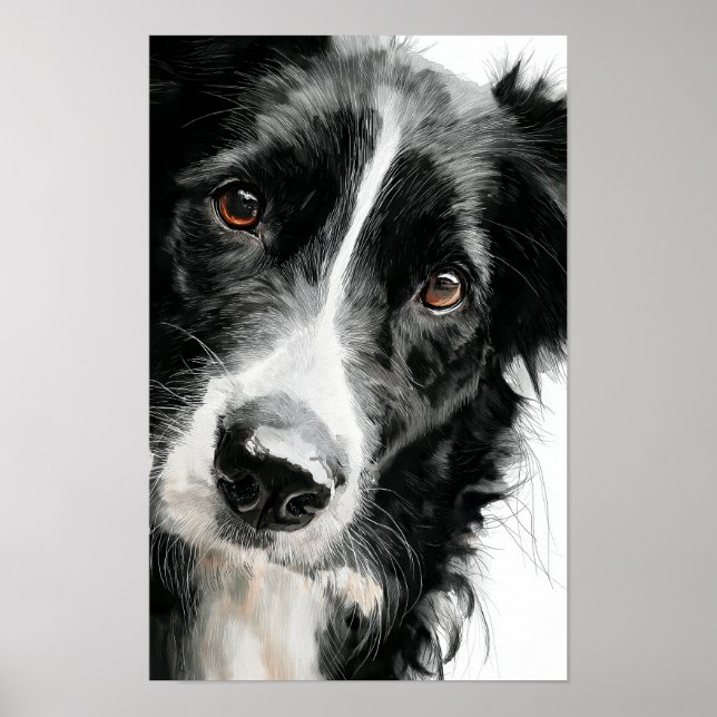 Vattenfärgporträtt av border collie poster (Framsidan)