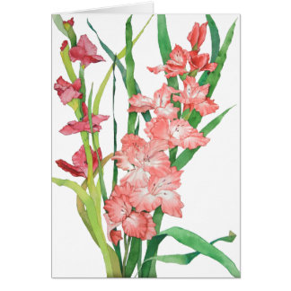 Vattenfärgrosor Gladiolas Hälsningskort