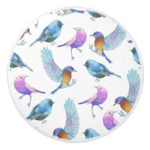 VattenfärgSafari: Fåglar (skräddarsy BG-färg!),