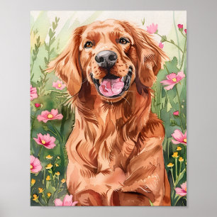 Vattenfärgsbild Irish Setter Hund Art Poster