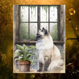 Vattenfärgsblåfärgad eyed Cat på en regndag Helg Vykort