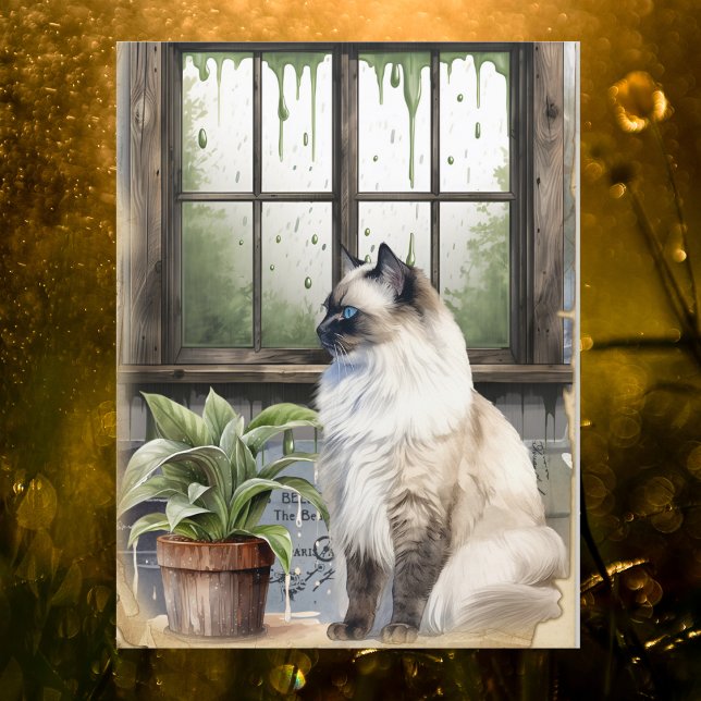 Vattenfärgsblåfärgad eyed Cat på en regndag Helg Vykort (Skapare uppladdad)