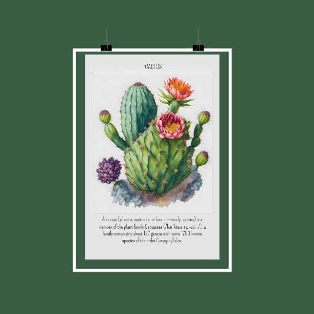 Vattenfärgsblockering Poster väggdekoration (Watercolor Blooming Cactus Poster Wall Decor | Are you a nature lover? It's time for a makeover!)