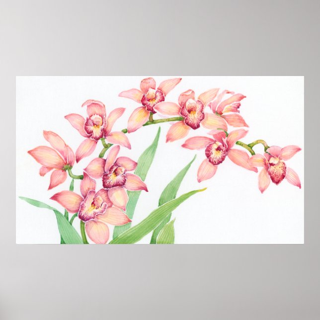 Vattenfärgsblommor Rosa Flowers Poster (Framsidan)